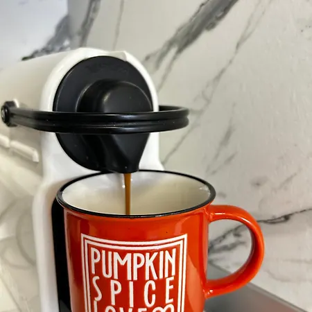 Rea Silena - Modern And Stylish