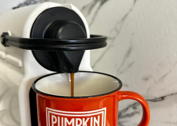 Rea Silena - Modern And Stylish